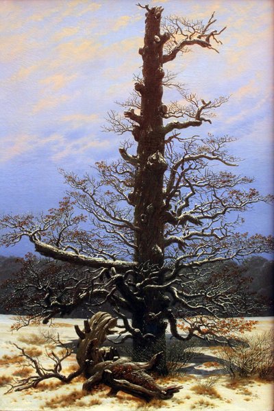 Oak Tree in the Snow by Caspar David Friedrich